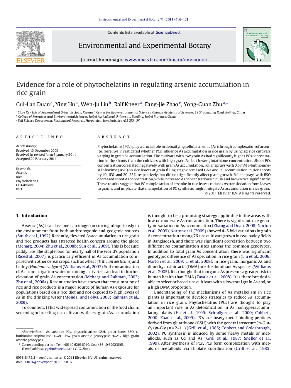 Evidence for a role of phytochelatins in regulating arsenic accumulation in rice grain