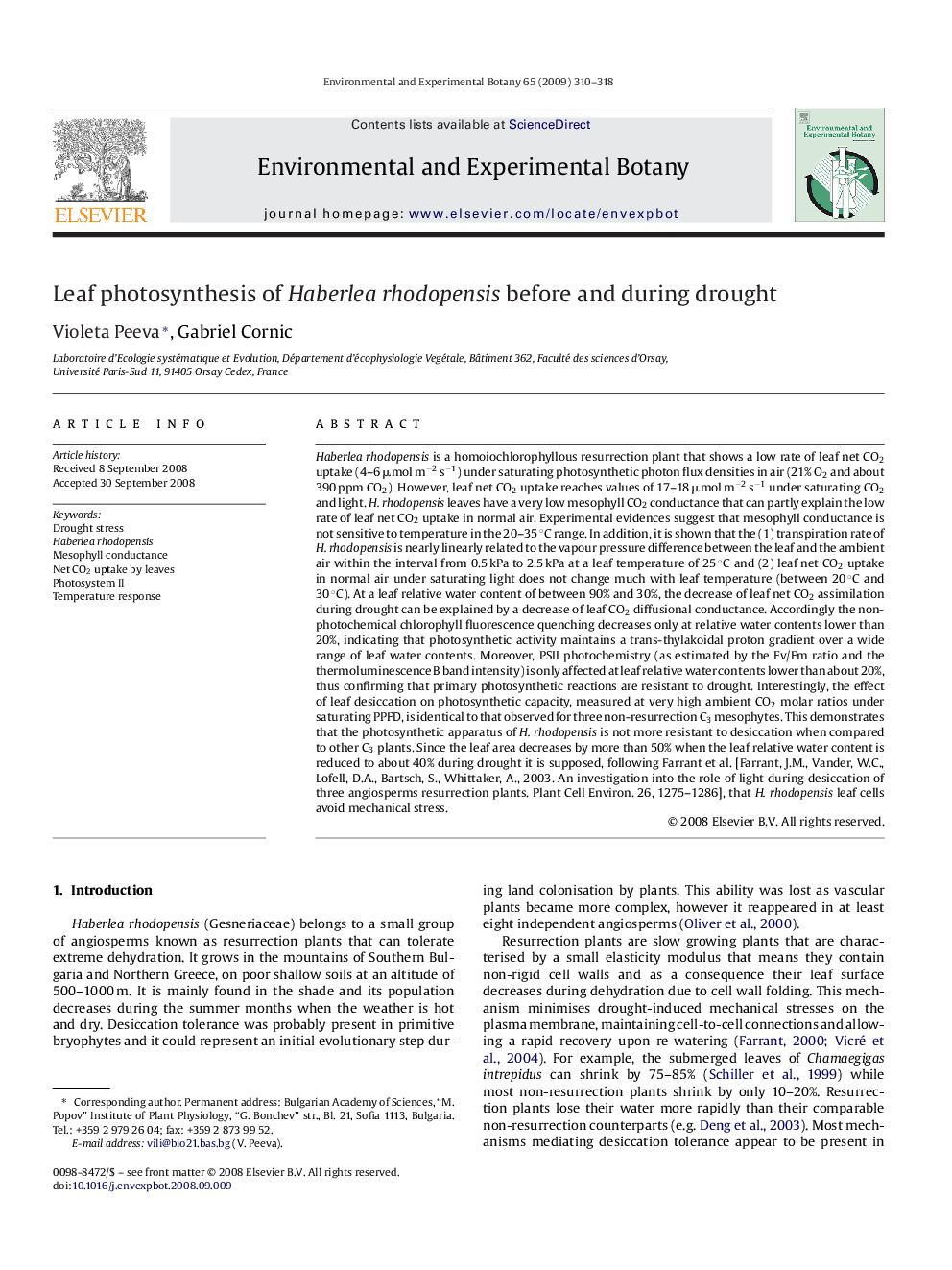 Leaf photosynthesis of Haberlea rhodopensis before and during drought