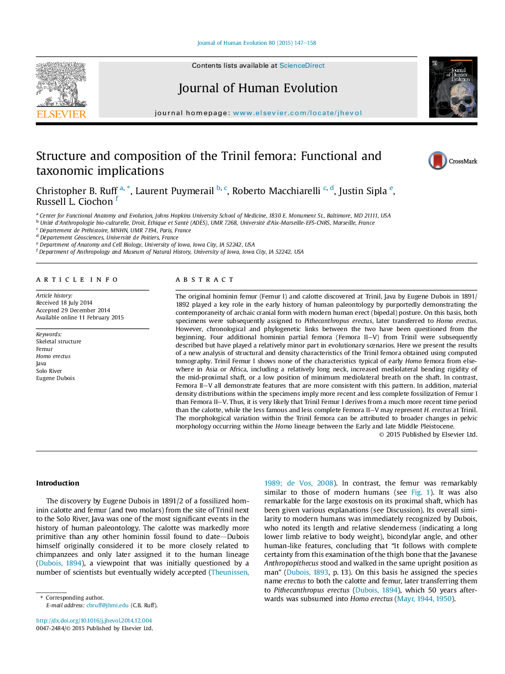 Structure and composition of the Trinil femora: Functional and taxonomic implications