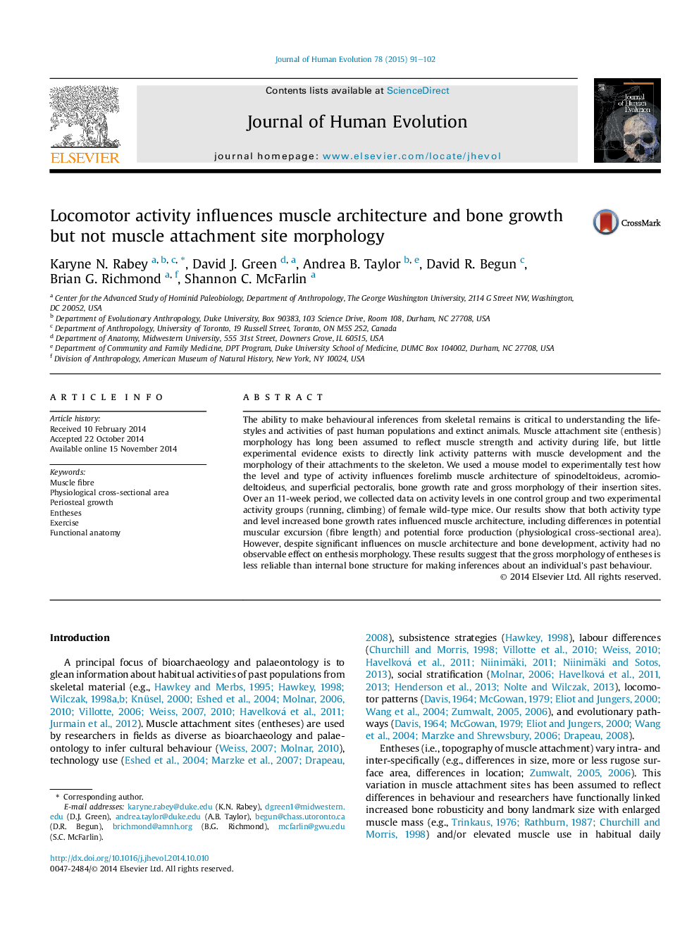 Locomotor activity influences muscle architecture and bone growth but not muscle attachment site morphology