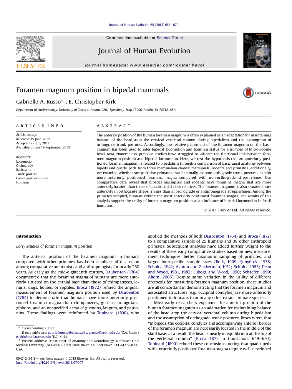 Foramen magnum position in bipedal mammals