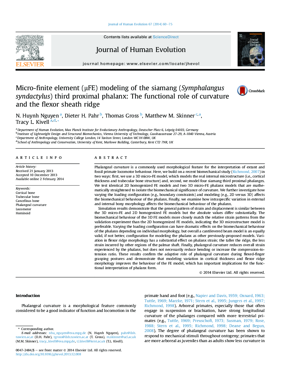 Micro-finite element (μFE) modeling of the siamang (Symphalangus syndactylus) third proximal phalanx: The functional role of curvature and the flexor sheath ridge