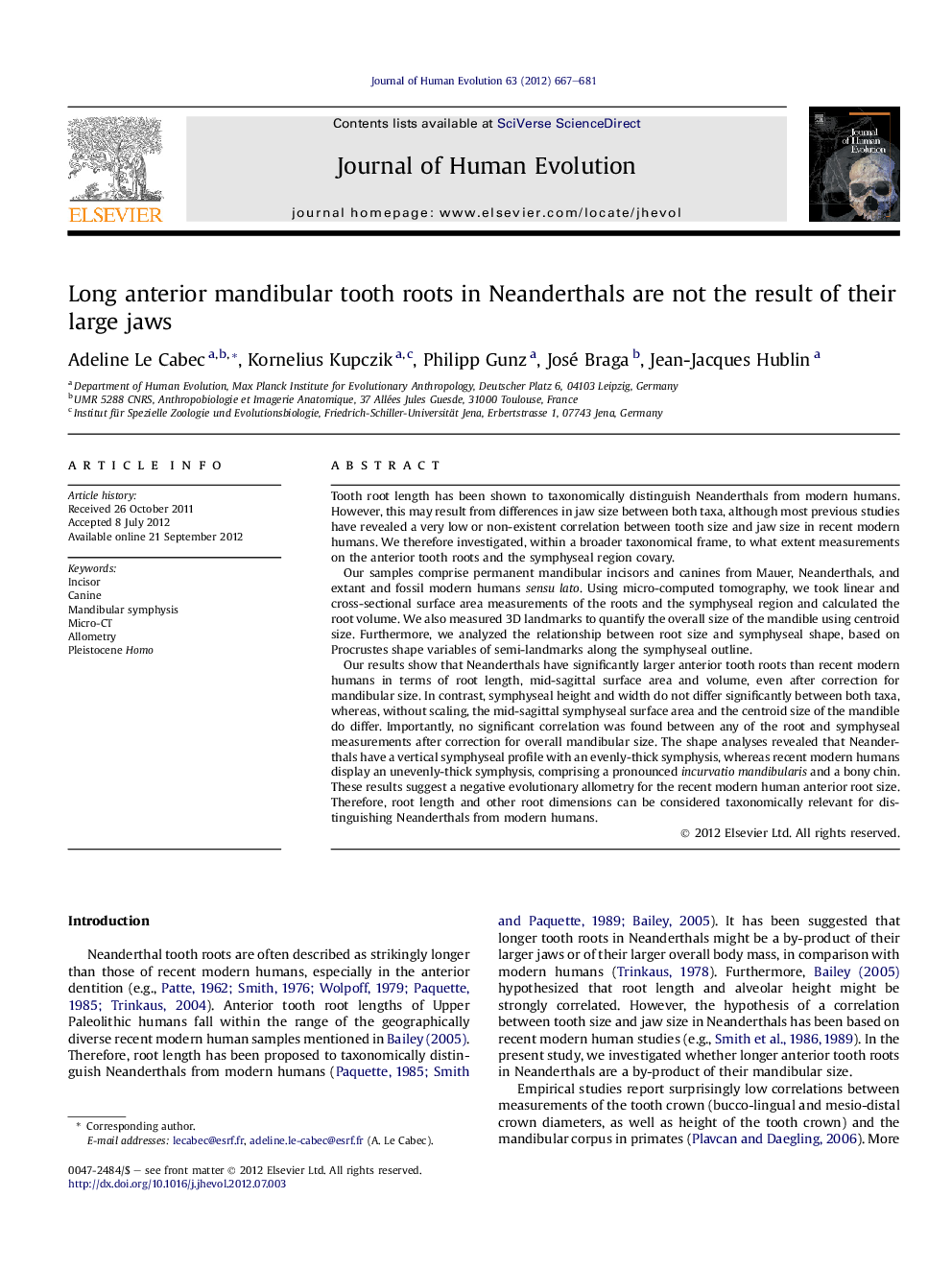 Long anterior mandibular tooth roots in Neanderthals are not the result of their large jaws