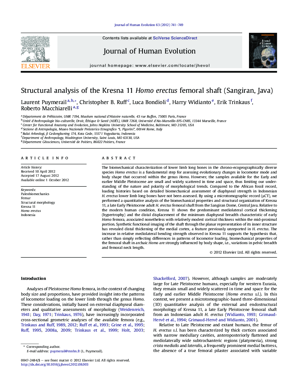 Structural analysis of the Kresna 11 Homo erectus femoral shaft (Sangiran, Java)