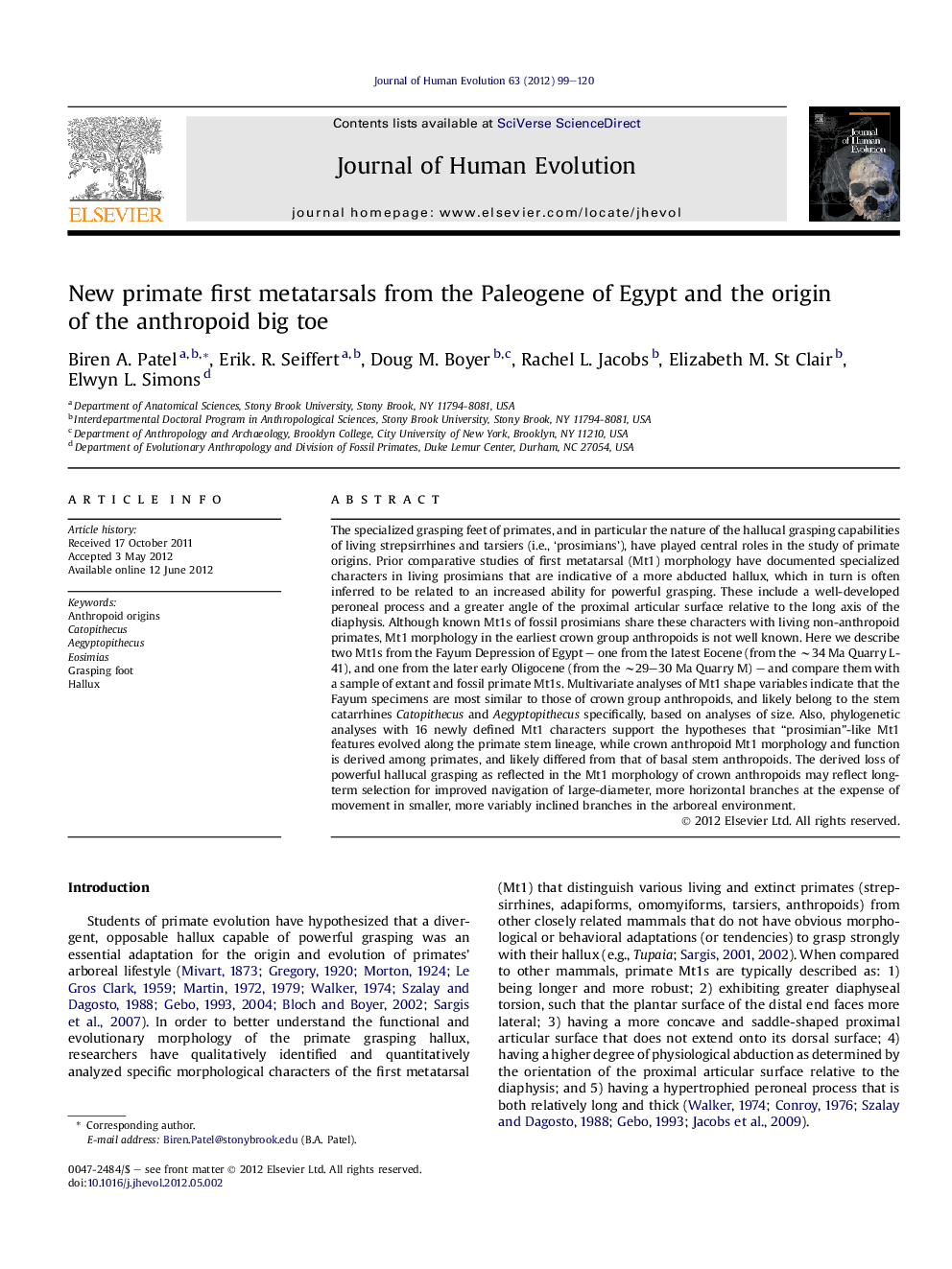 New primate first metatarsals from the Paleogene of Egypt and the origin of the anthropoid big toe