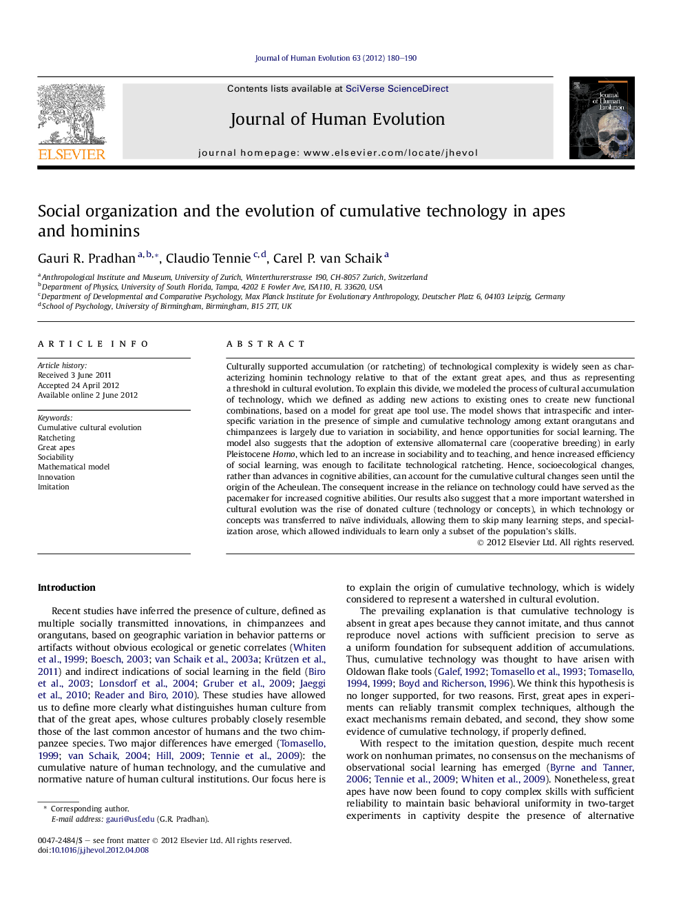 Social organization and the evolution of cumulative technology in apes and hominins