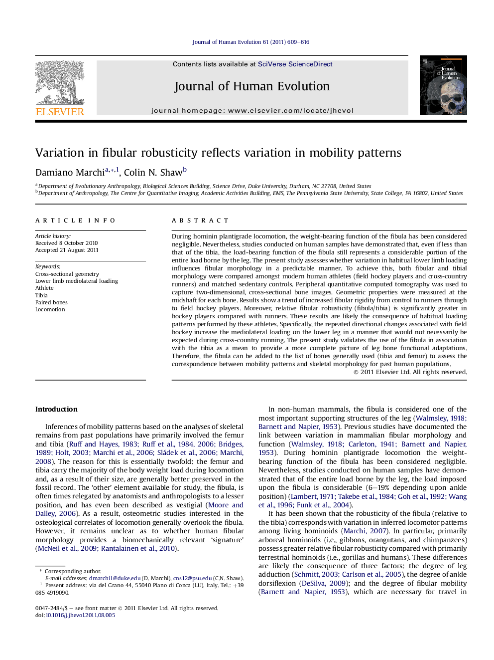 Variation in fibular robusticity reflects variation in mobility patterns