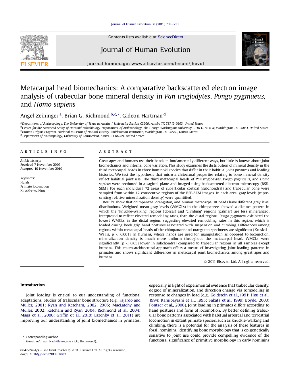 Metacarpal head biomechanics: A comparative backscattered electron image analysis of trabecular bone mineral density in Pan troglodytes, Pongo pygmaeus, and Homo sapiens