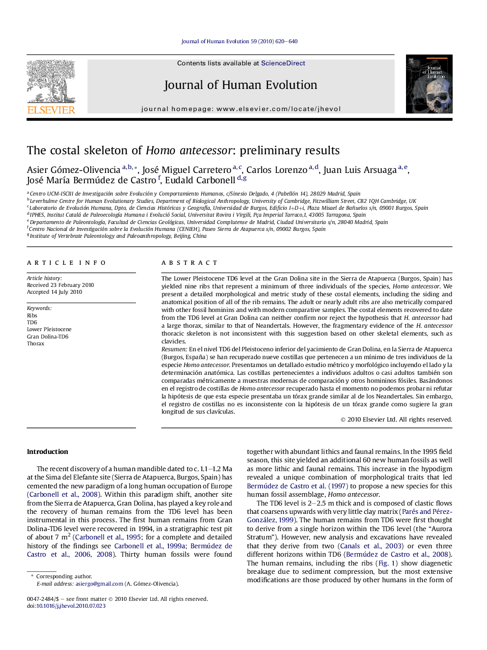 The costal skeleton of Homo antecessor: preliminary results