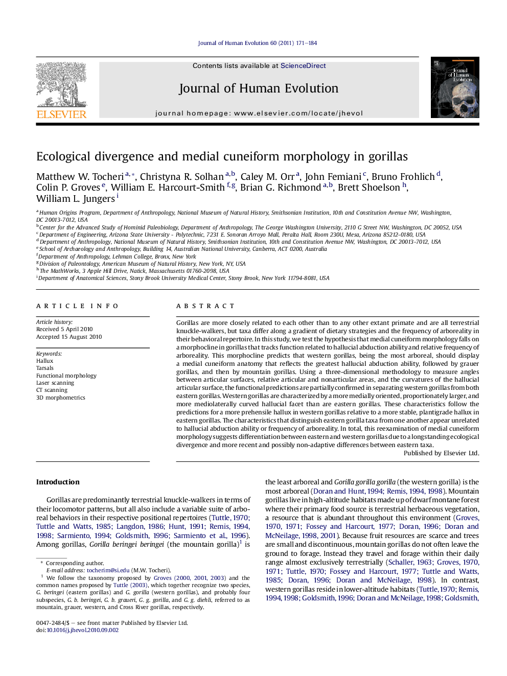 Ecological divergence and medial cuneiform morphology in gorillas