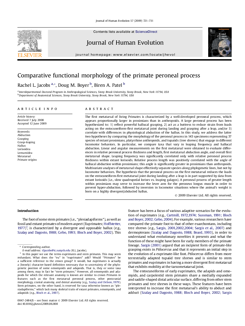 Comparative functional morphology of the primate peroneal process