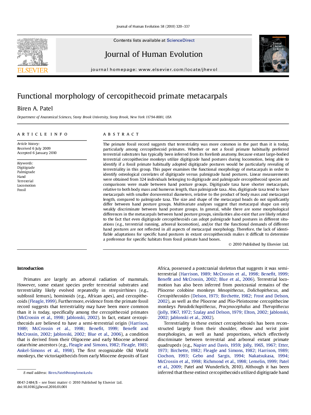 Functional morphology of cercopithecoid primate metacarpals