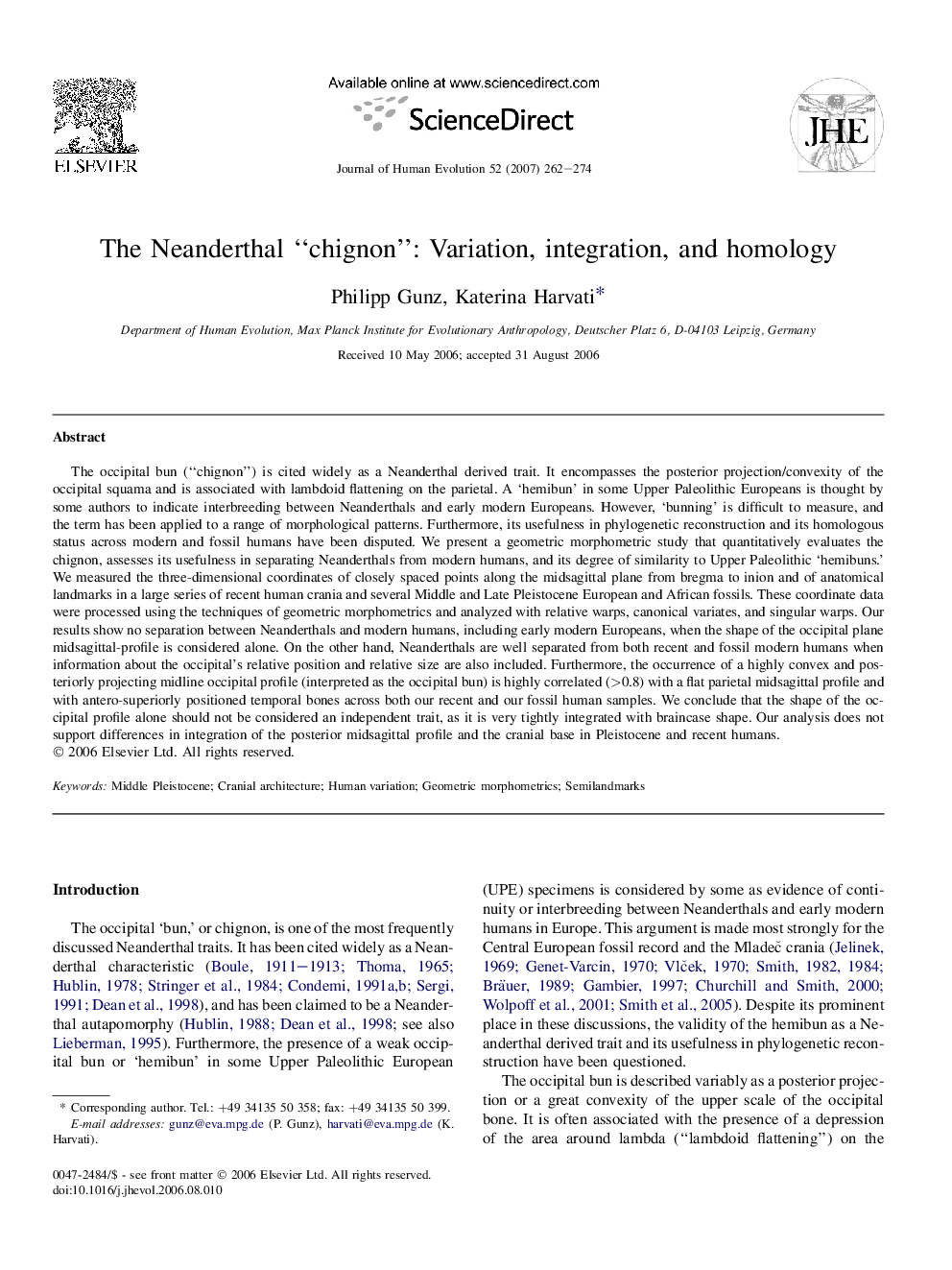 The Neanderthal “chignon”: Variation, integration, and homology