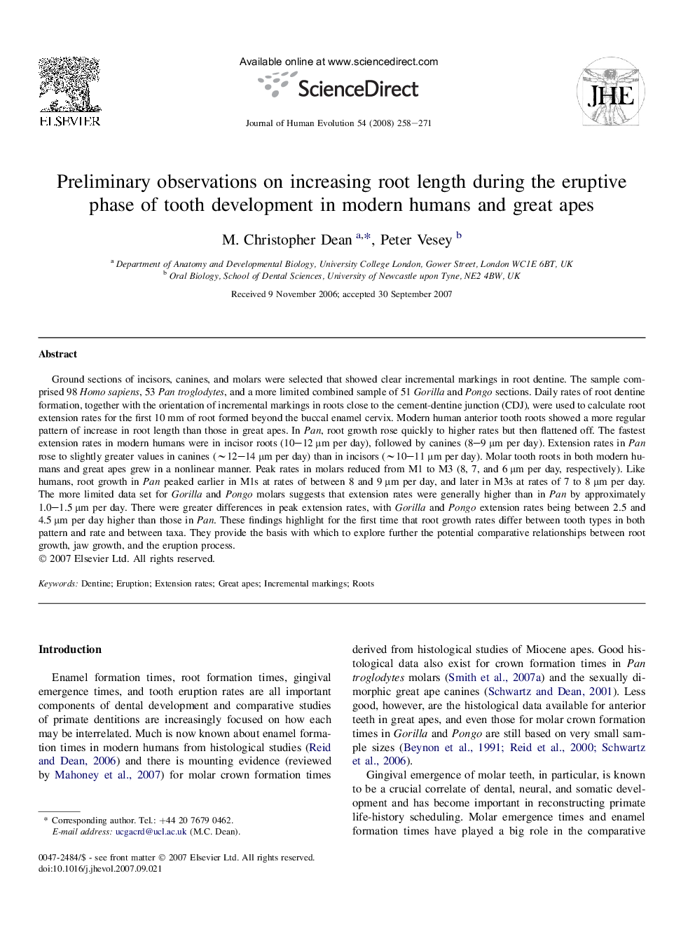 Preliminary observations on increasing root length during the eruptive phase of tooth development in modern humans and great apes