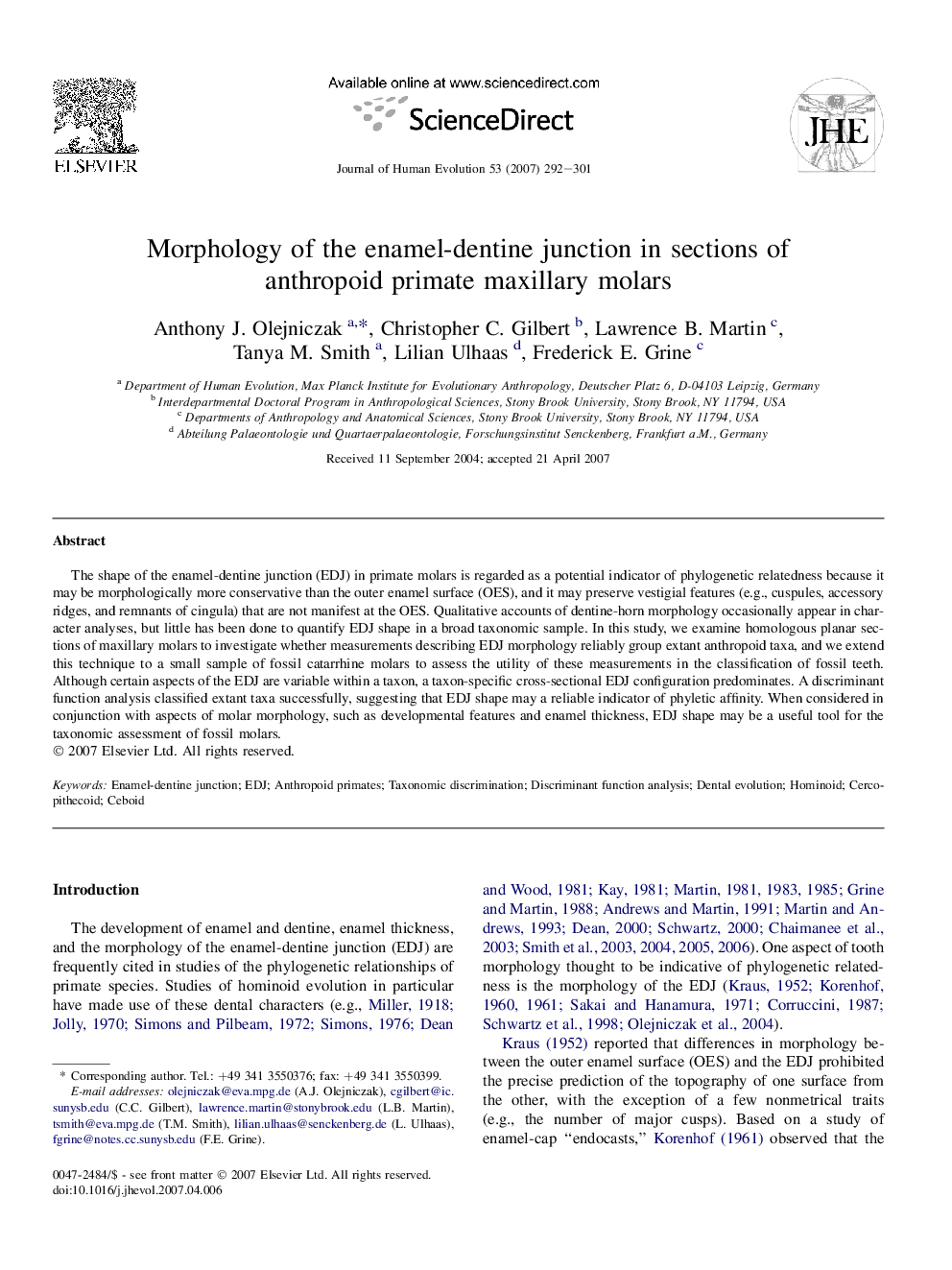 Morphology of the enamel-dentine junction in sections of anthropoid primate maxillary molars