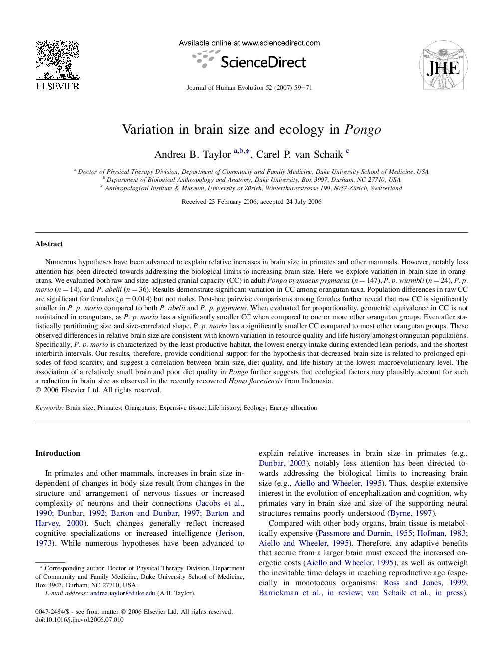 Variation in brain size and ecology in Pongo