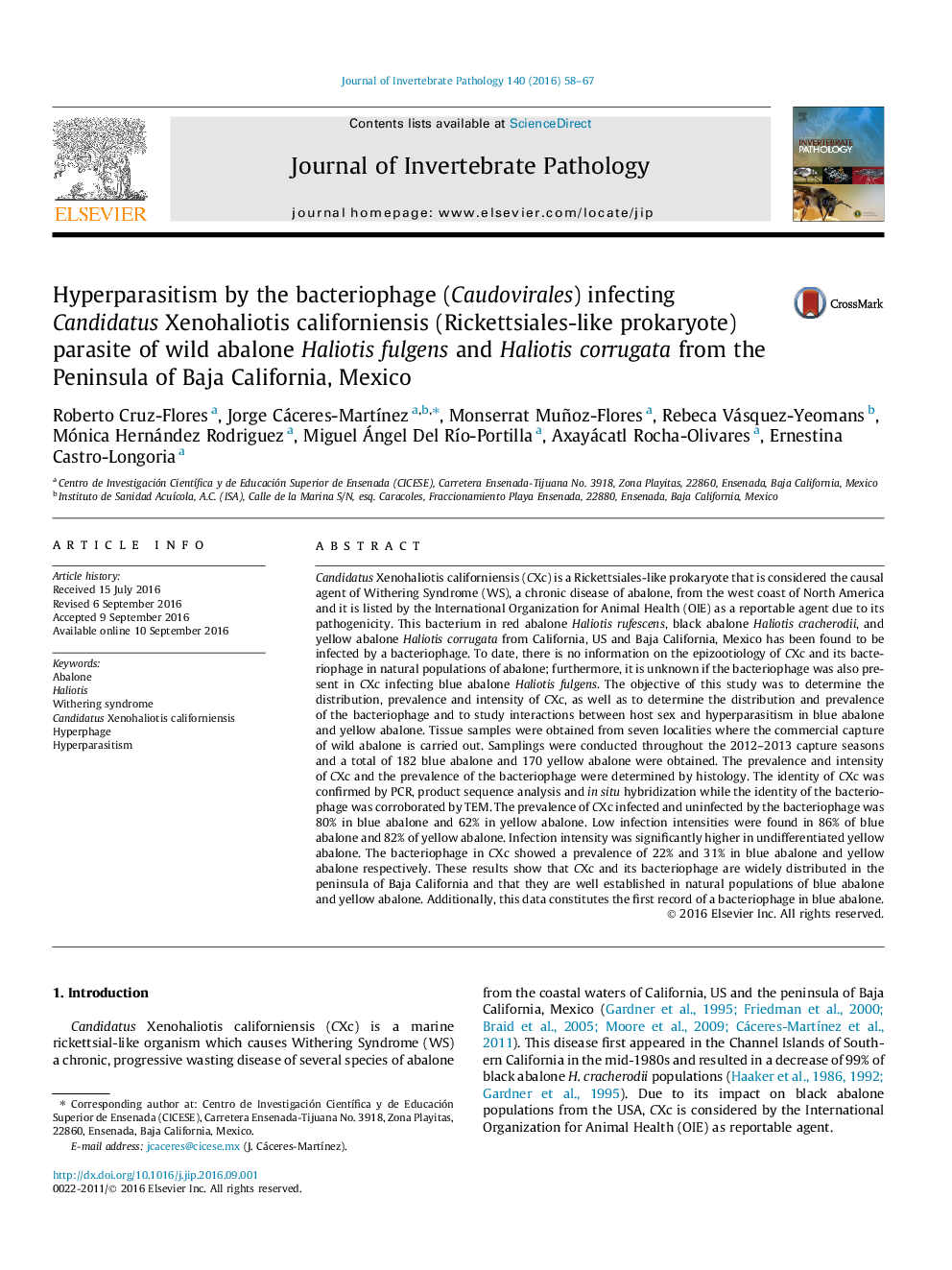 Hyperparasitism by the bacteriophage (Caudovirales) infecting Candidatus Xenohaliotis californiensis (Rickettsiales-like prokaryote) parasite of wild abalone Haliotis fulgens and Haliotis corrugata from the Peninsula of Baja California, Mexico