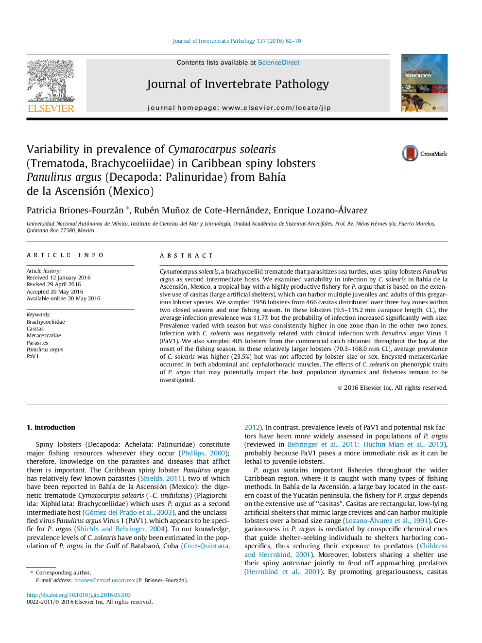 Variability in prevalence of Cymatocarpus solearis (Trematoda, Brachycoeliidae) in Caribbean spiny lobsters Panulirus argus (Decapoda: Palinuridae) from Bahía de la Ascensión (Mexico)