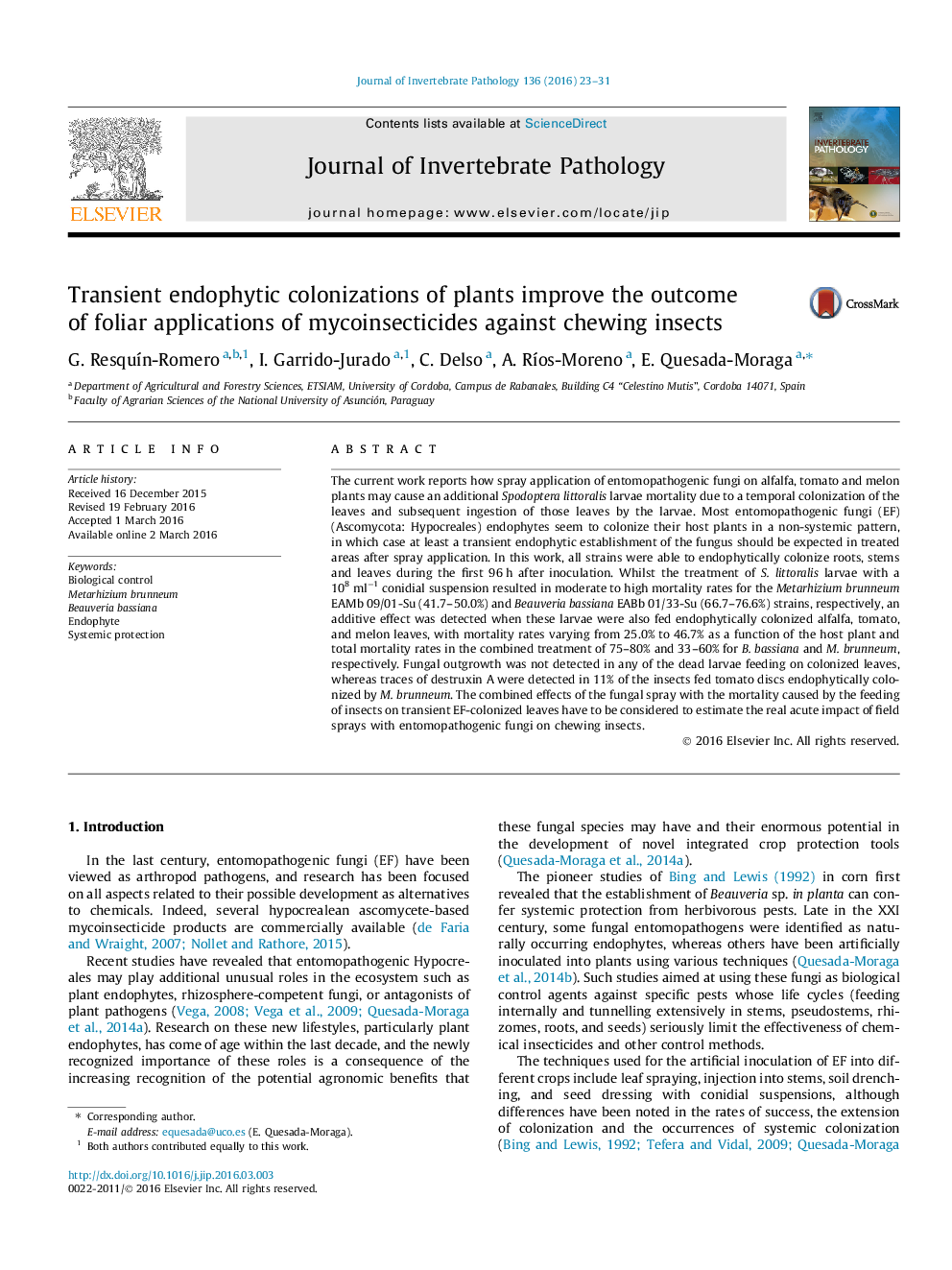 Transient endophytic colonizations of plants improve the outcome of foliar applications of mycoinsecticides against chewing insects