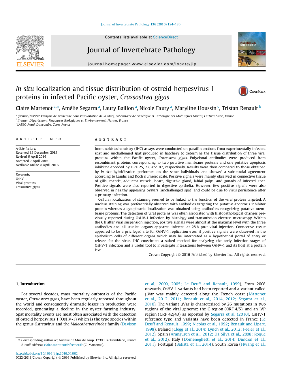 In situ localization and tissue distribution of ostreid herpesvirus 1 proteins in infected Pacific oyster, Crassostrea gigas