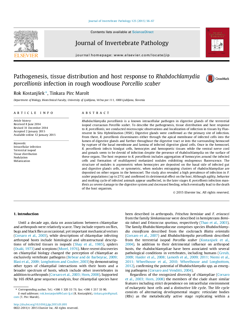 Pathogenesis, tissue distribution and host response to Rhabdochlamydia porcellionis infection in rough woodlouse Porcellio scaber