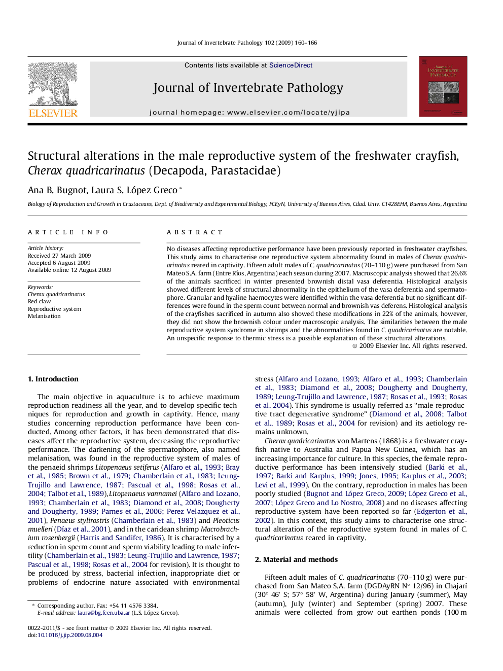 Structural alterations in the male reproductive system of the freshwater crayfish, Cherax quadricarinatus (Decapoda, Parastacidae)