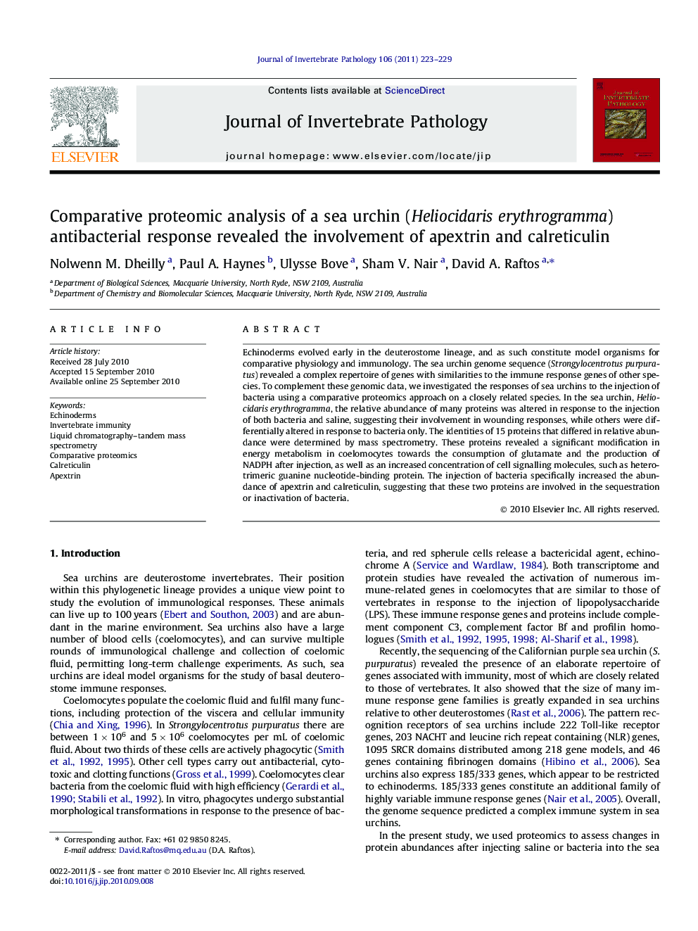 Comparative proteomic analysis of a sea urchin (Heliocidaris erythrogramma) antibacterial response revealed the involvement of apextrin and calreticulin