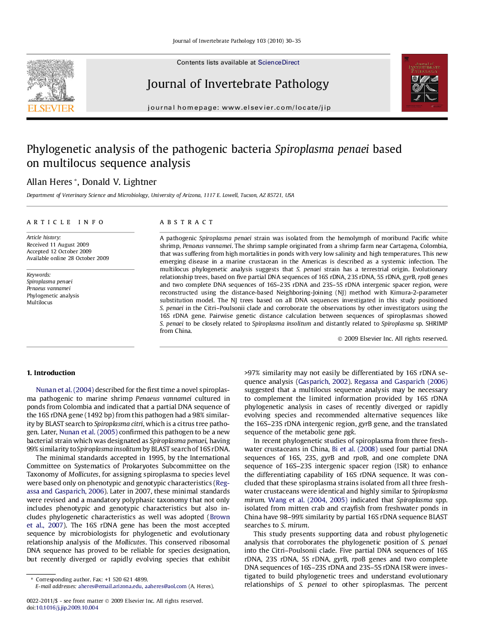 Phylogenetic analysis of the pathogenic bacteria Spiroplasma penaei based on multilocus sequence analysis