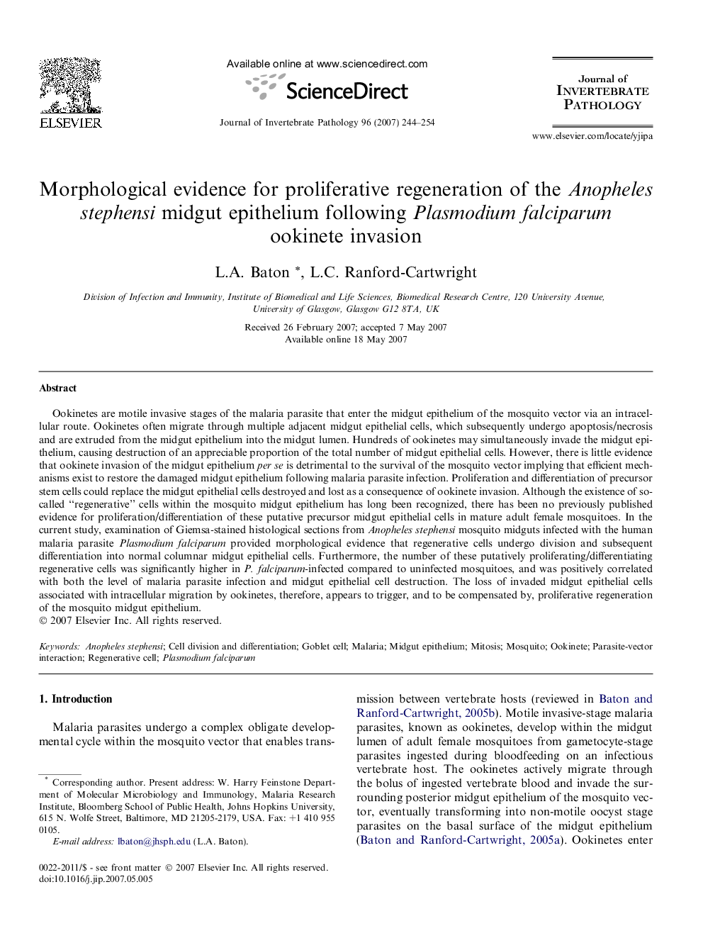 Morphological evidence for proliferative regeneration of the Anopheles stephensi midgut epithelium following Plasmodium falciparum ookinete invasion