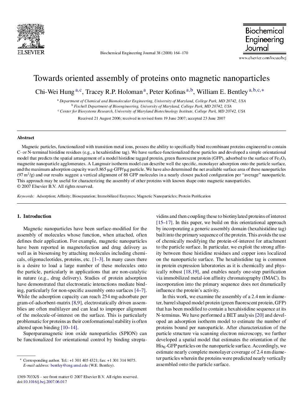 Towards oriented assembly of proteins onto magnetic nanoparticles