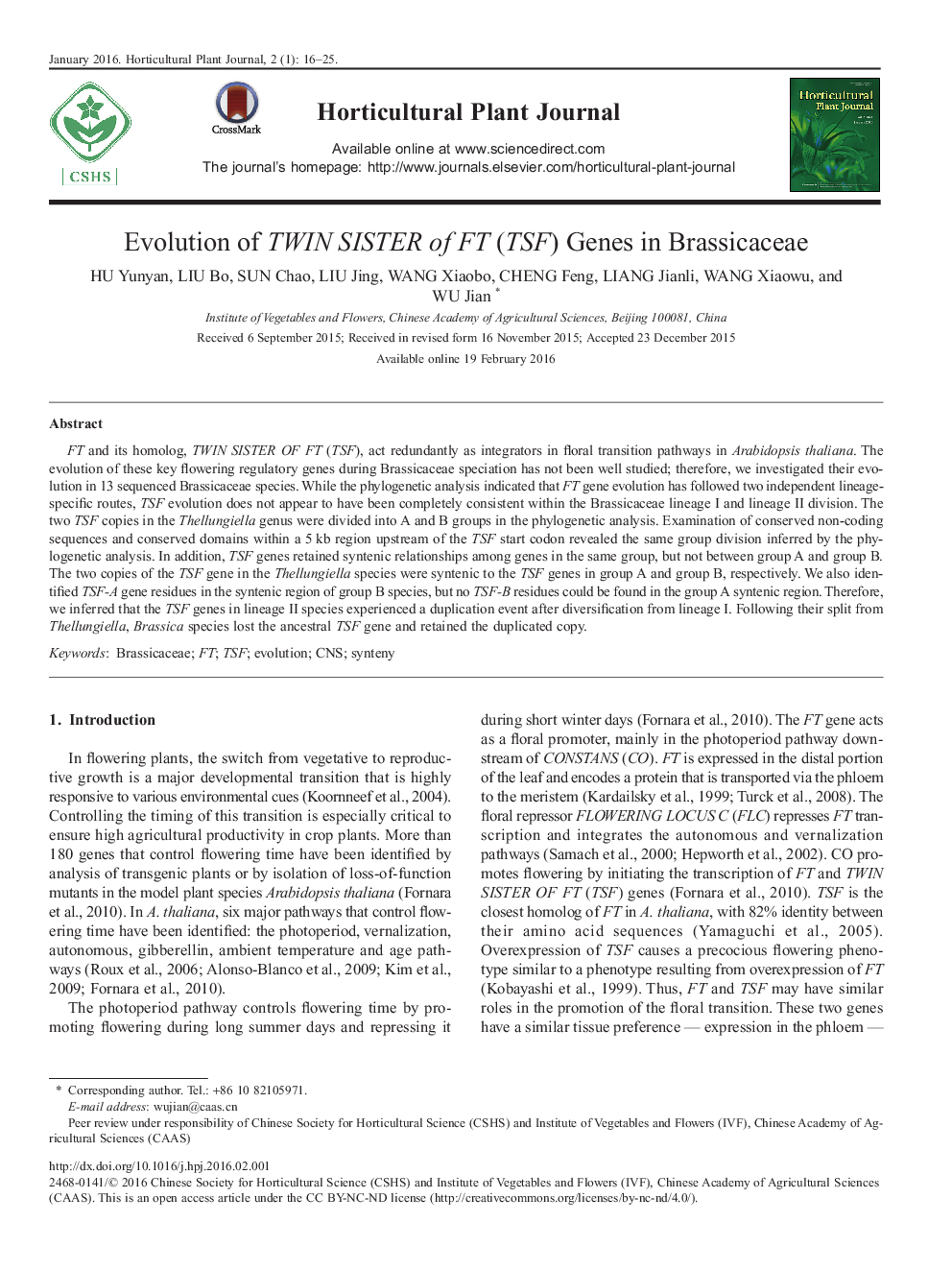 Evolution of TWIN SISTER of FT (TSF) Genes in Brassicaceae 