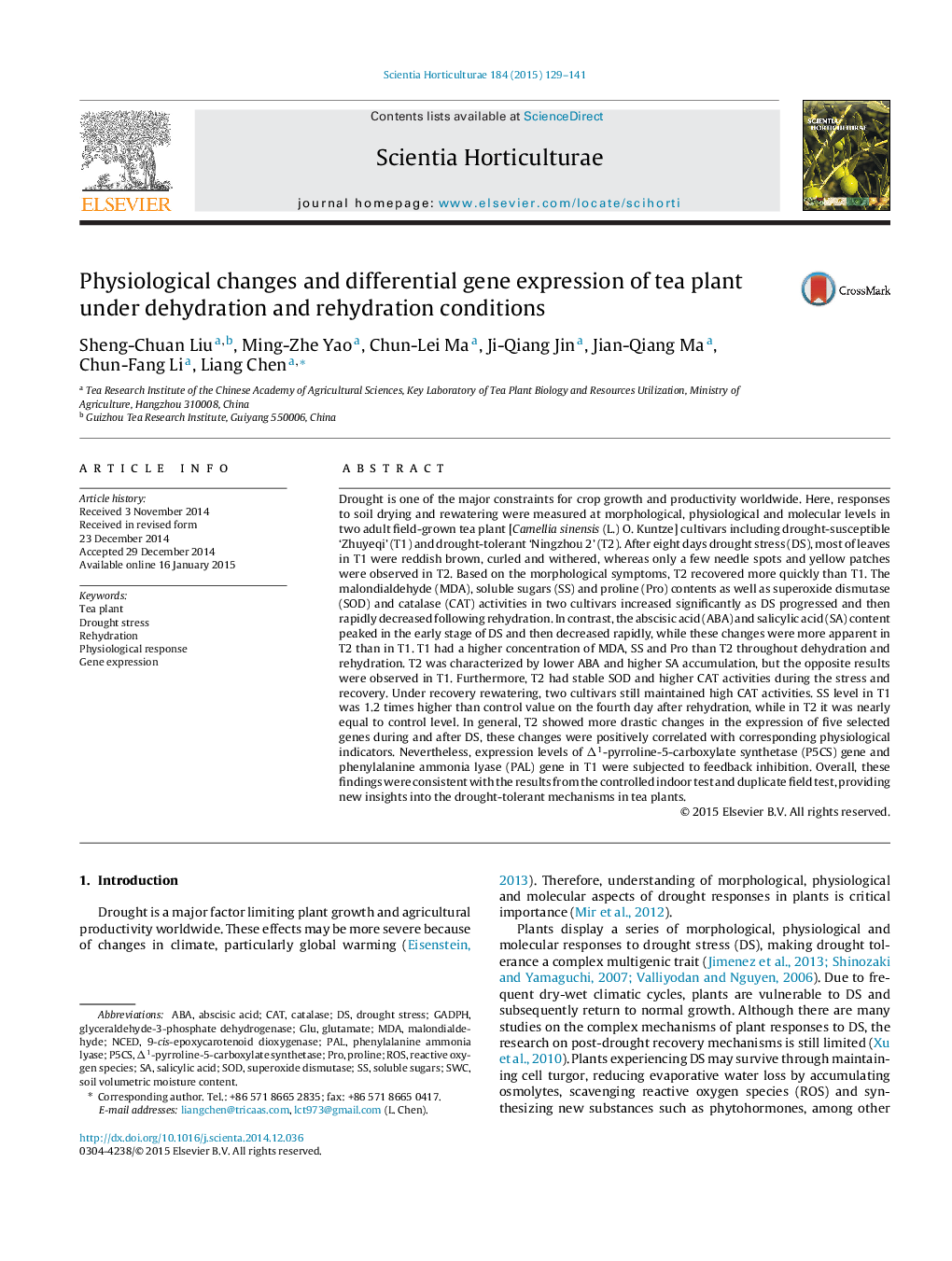 Physiological changes and differential gene expression of tea plant under dehydration and rehydration conditions