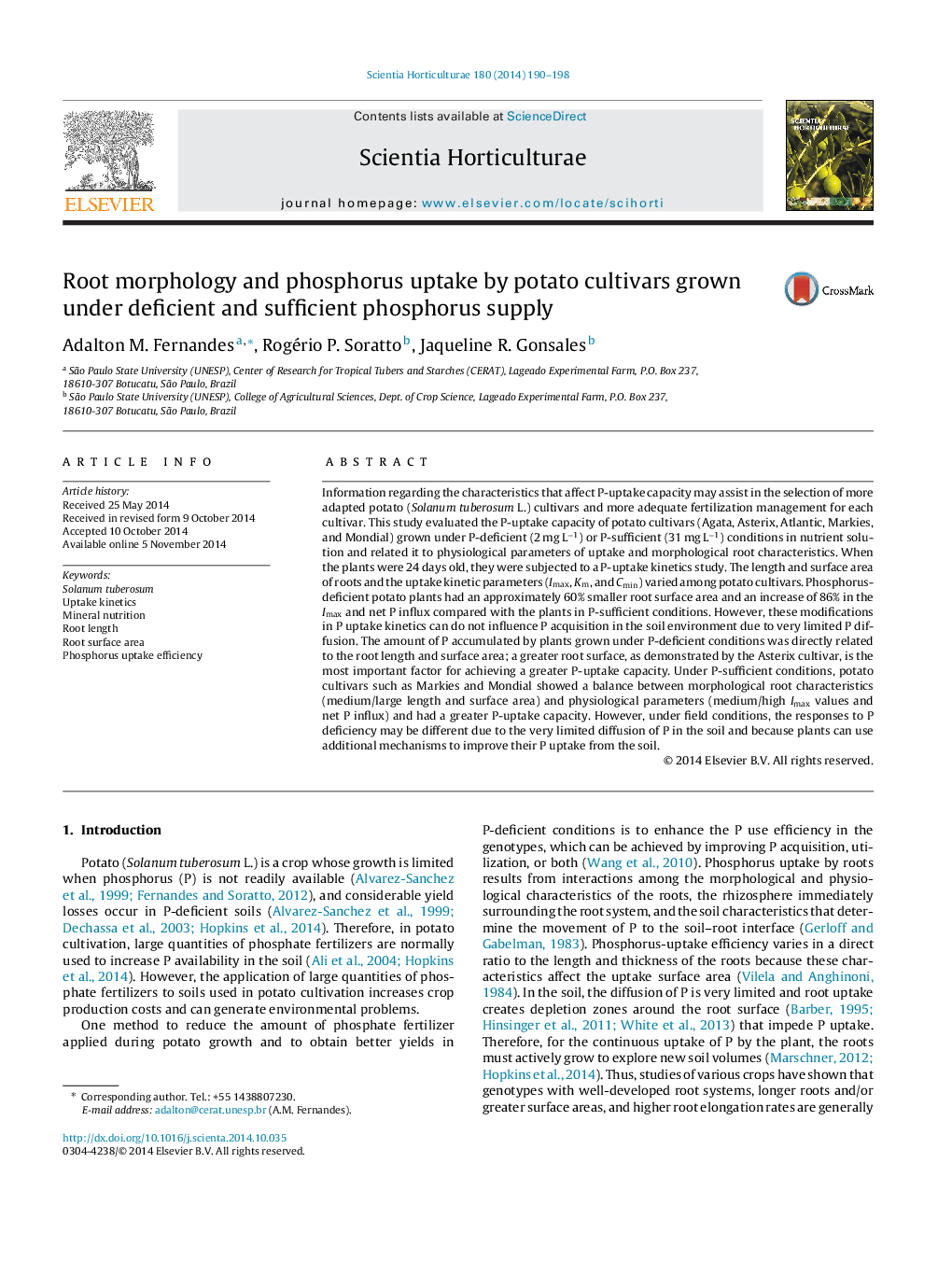 Root morphology and phosphorus uptake by potato cultivars grown under deficient and sufficient phosphorus supply