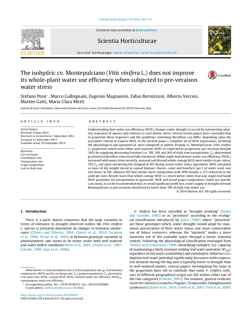 The isohydric cv. Montepulciano (Vitis vinifera L.) does not improve its whole-plant water use efficiency when subjected to pre-veraison water stress