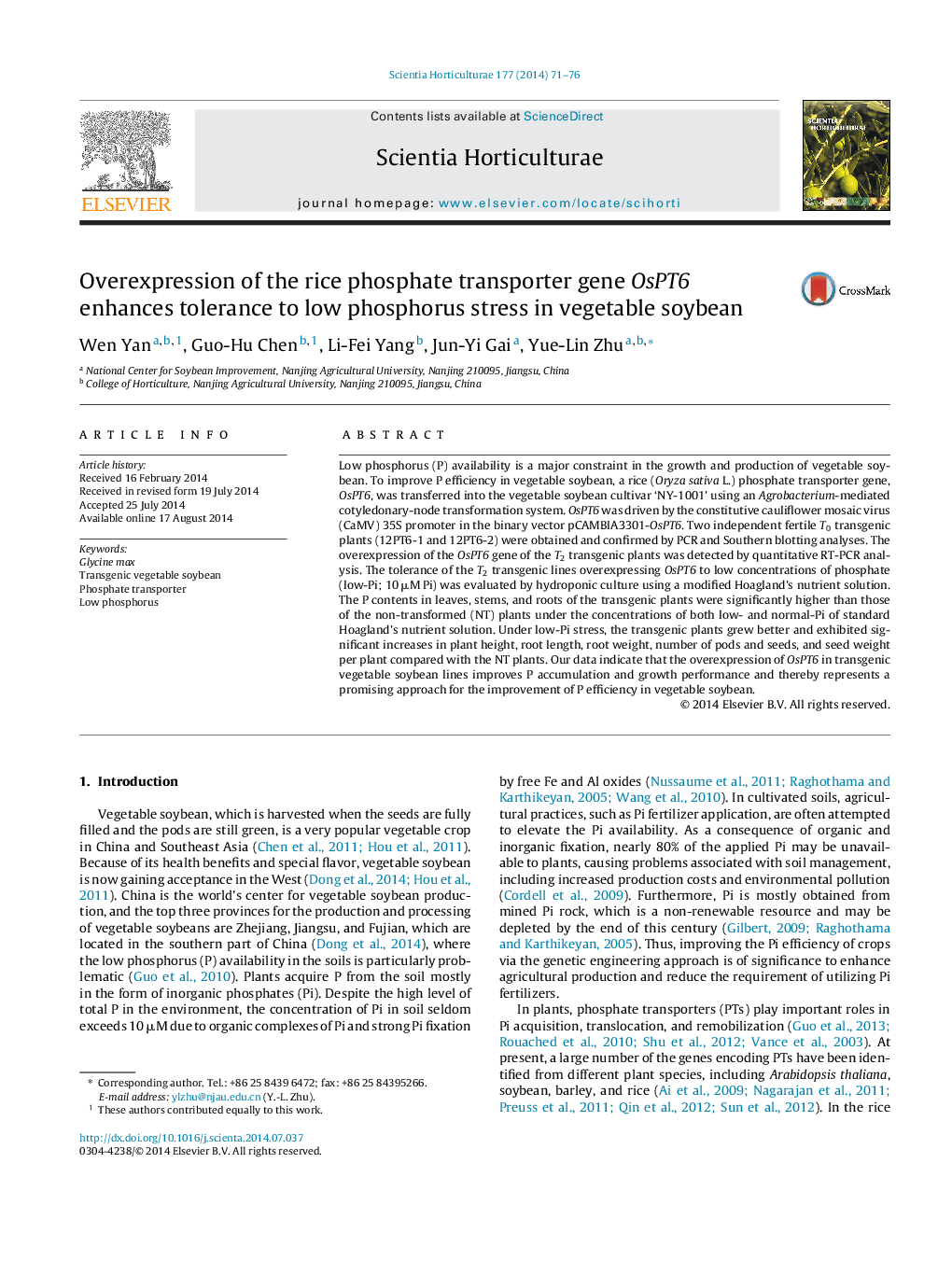 Overexpression of the rice phosphate transporter gene OsPT6 enhances tolerance to low phosphorus stress in vegetable soybean