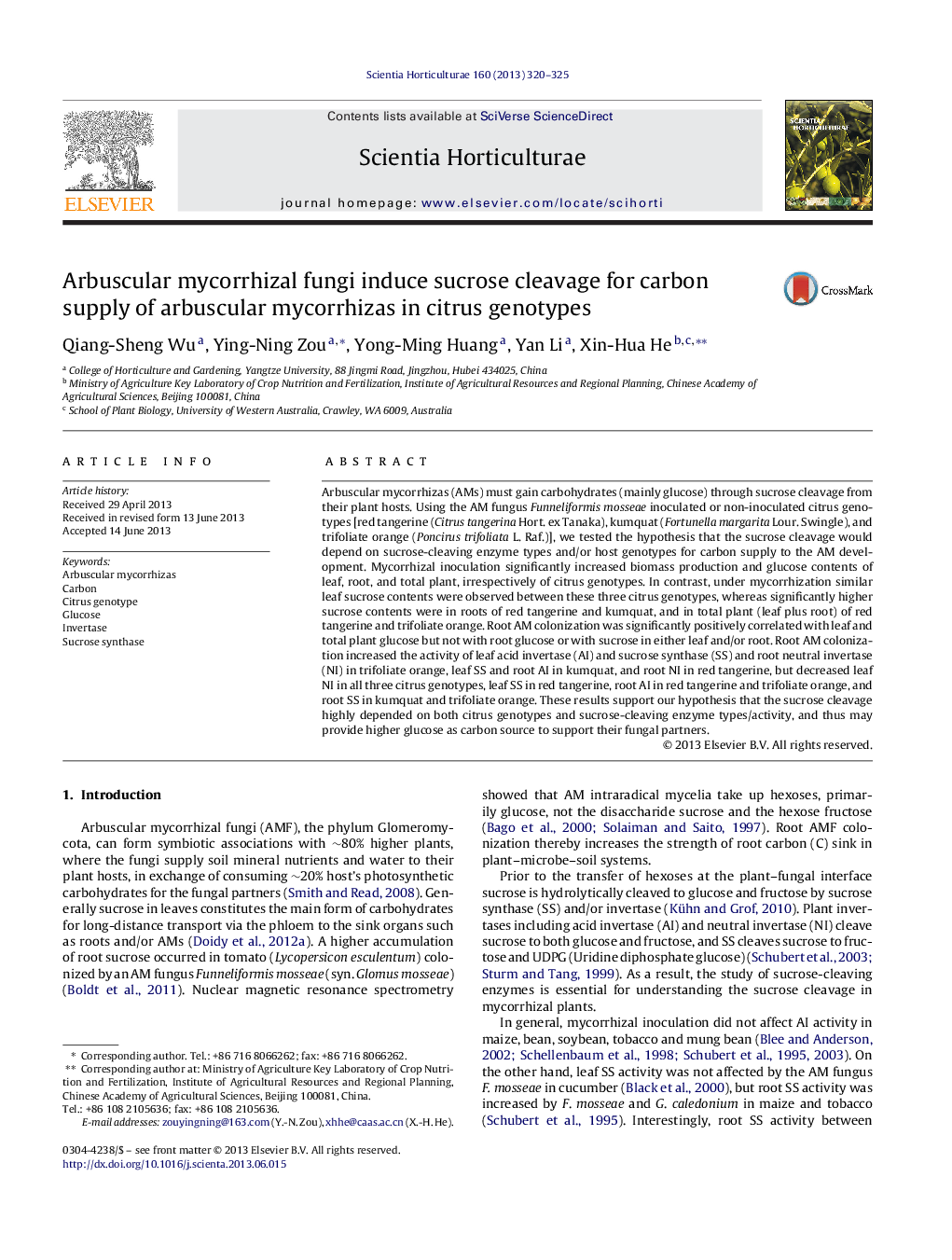 Arbuscular mycorrhizal fungi induce sucrose cleavage for carbon supply of arbuscular mycorrhizas in citrus genotypes