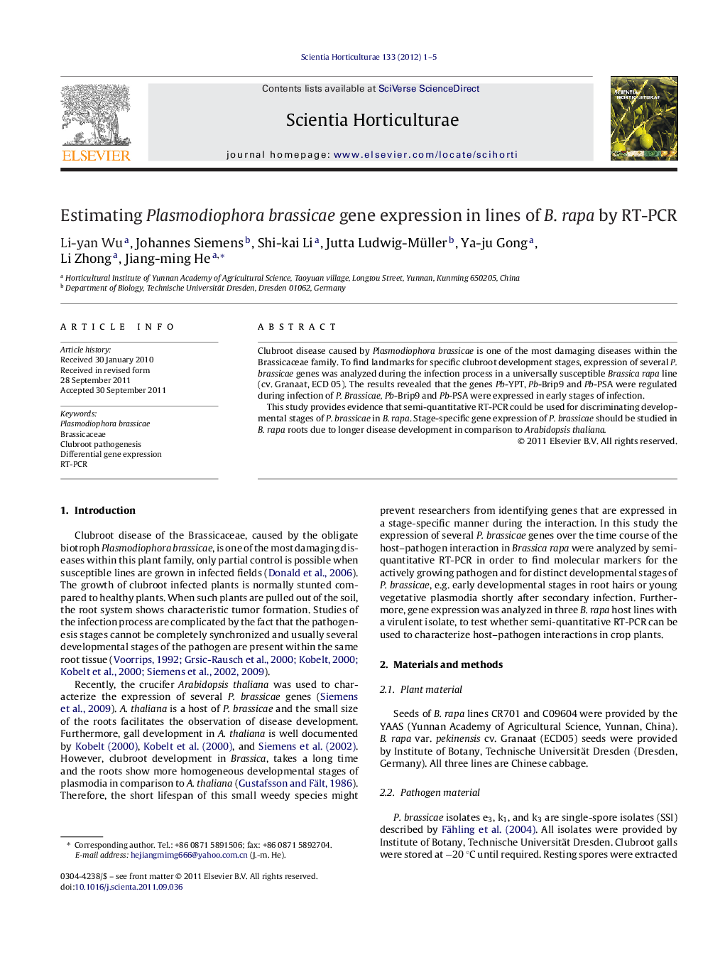 Estimating Plasmodiophora brassicae gene expression in lines of B. rapa by RT-PCR