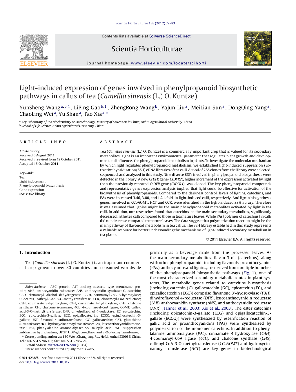 Light-induced expression of genes involved in phenylpropanoid biosynthetic pathways in callus of tea (Camellia sinensis (L.) O. Kuntze)