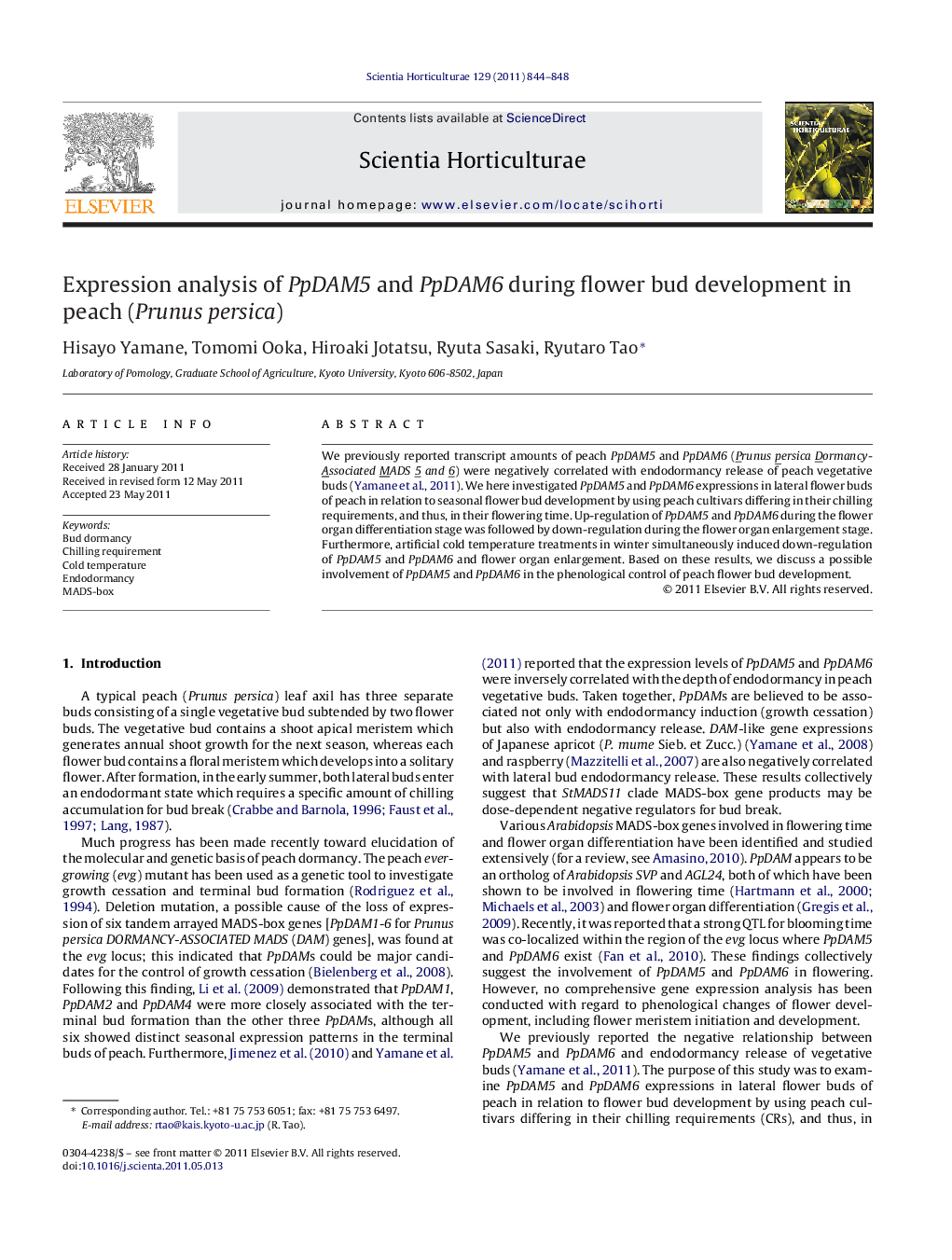 Expression analysis of PpDAM5 and PpDAM6 during flower bud development in peach (Prunus persica)