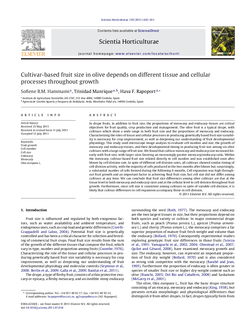 Cultivar-based fruit size in olive depends on different tissue and cellular processes throughout growth