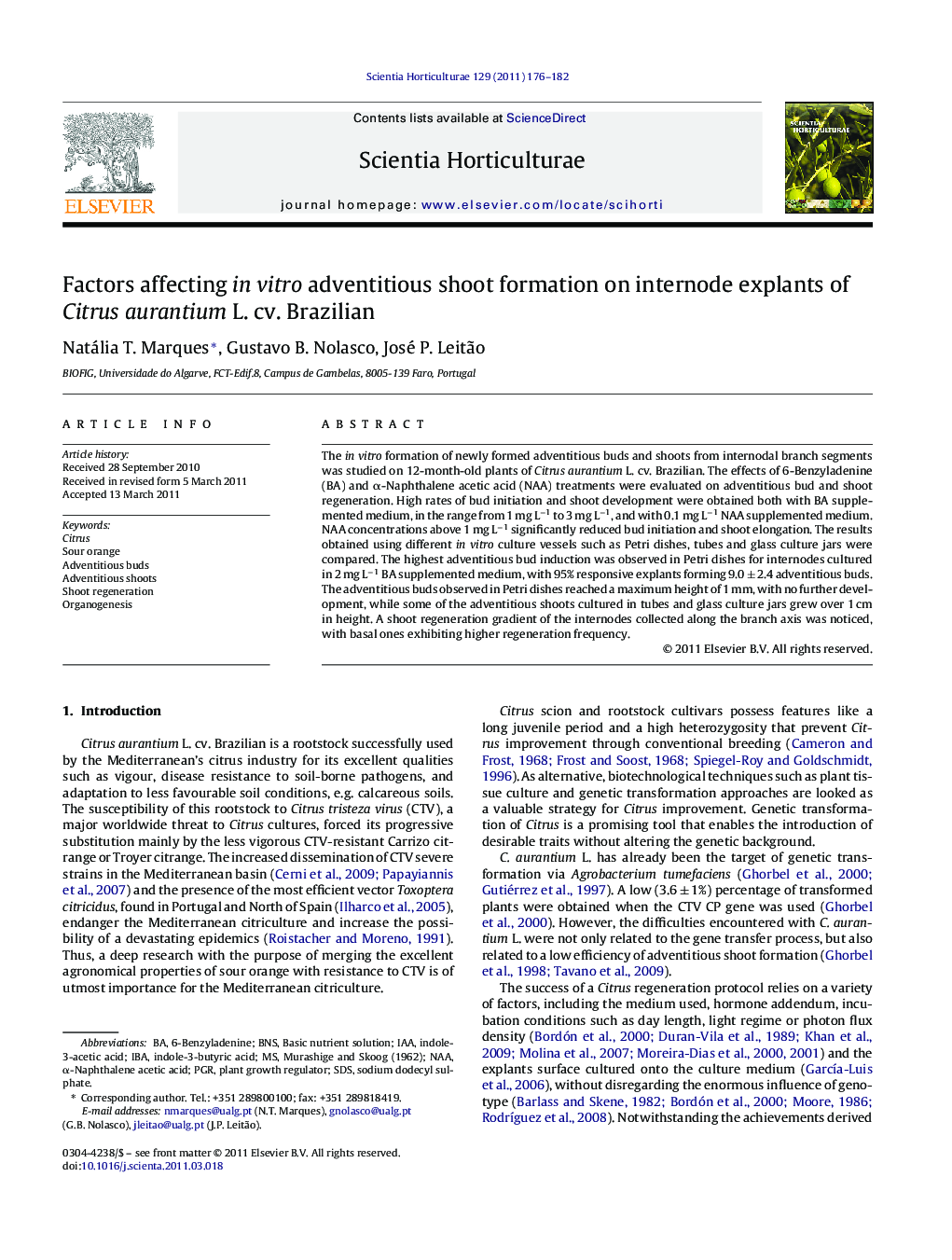 Factors affecting in vitro adventitious shoot formation on internode explants of Citrus aurantium L. cv. Brazilian