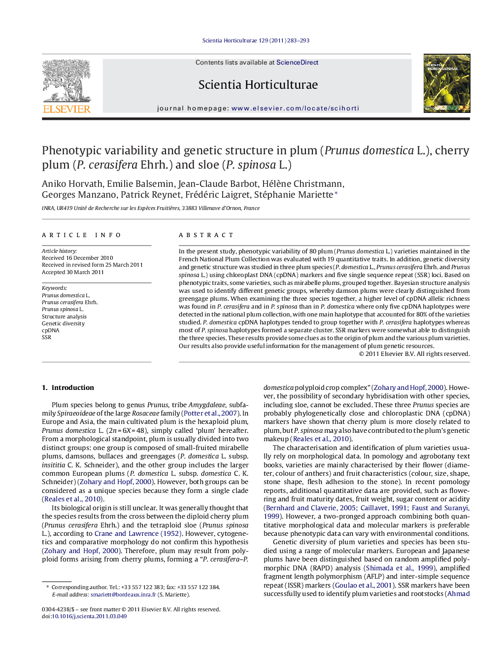 Phenotypic variability and genetic structure in plum (Prunus domestica L.), cherry plum (P. cerasifera Ehrh.) and sloe (P. spinosa L.)