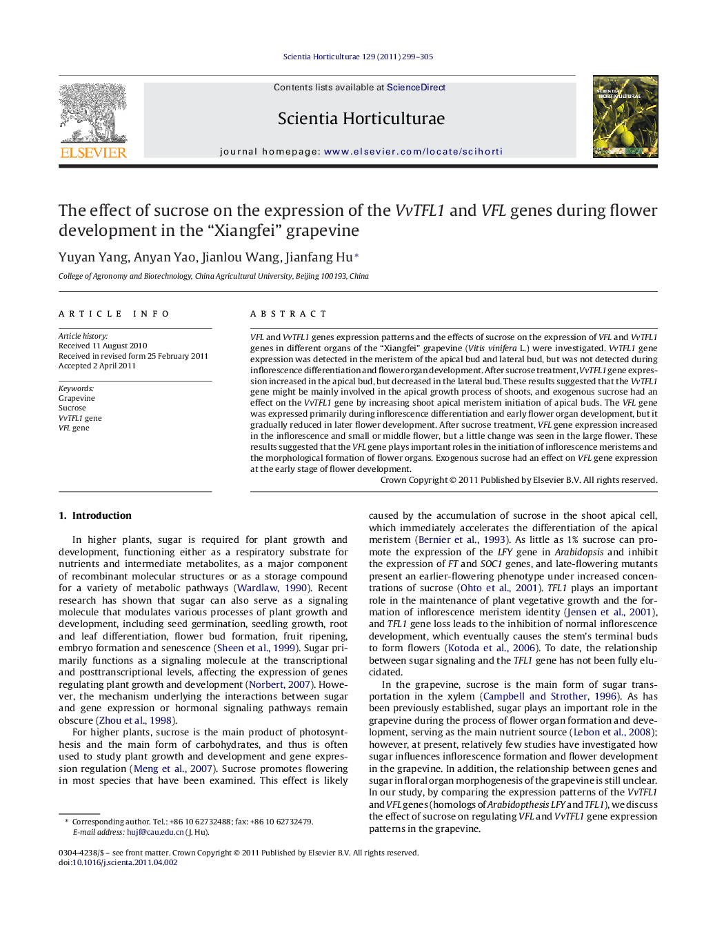 The effect of sucrose on the expression of the VvTFL1 and VFL genes during flower development in the “Xiangfei” grapevine