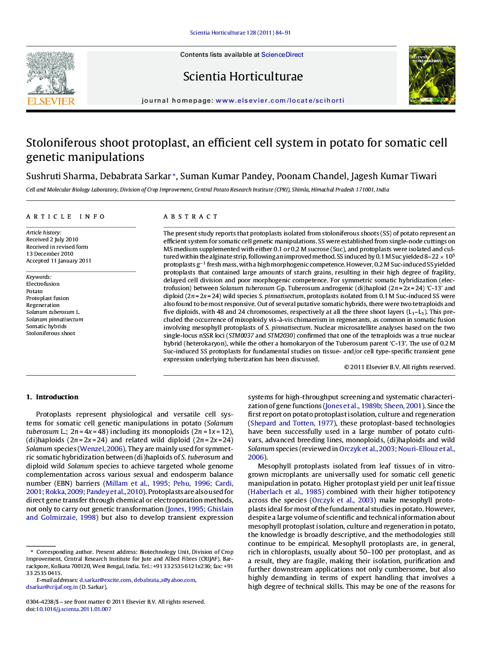 Stoloniferous shoot protoplast, an efficient cell system in potato for somatic cell genetic manipulations