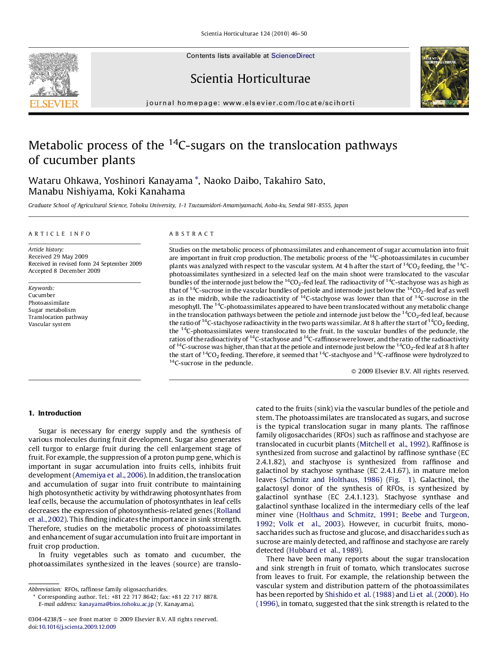 Metabolic process of the 14C-sugars on the translocation pathways of cucumber plants