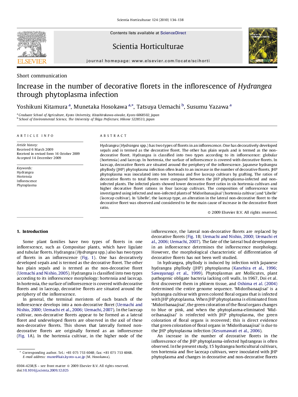 Increase in the number of decorative florets in the inflorescence of Hydrangea through phytoplasma infection