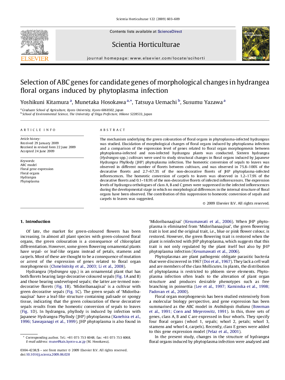 Selection of ABC genes for candidate genes of morphological changes in hydrangea floral organs induced by phytoplasma infection