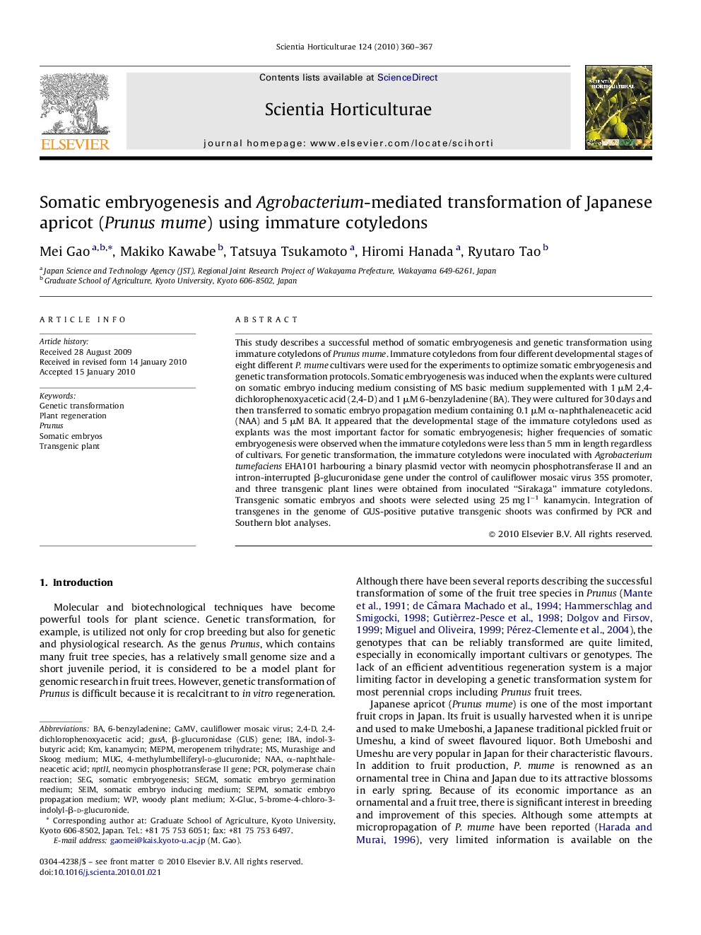 Somatic embryogenesis and Agrobacterium-mediated transformation of Japanese apricot (Prunus mume) using immature cotyledons