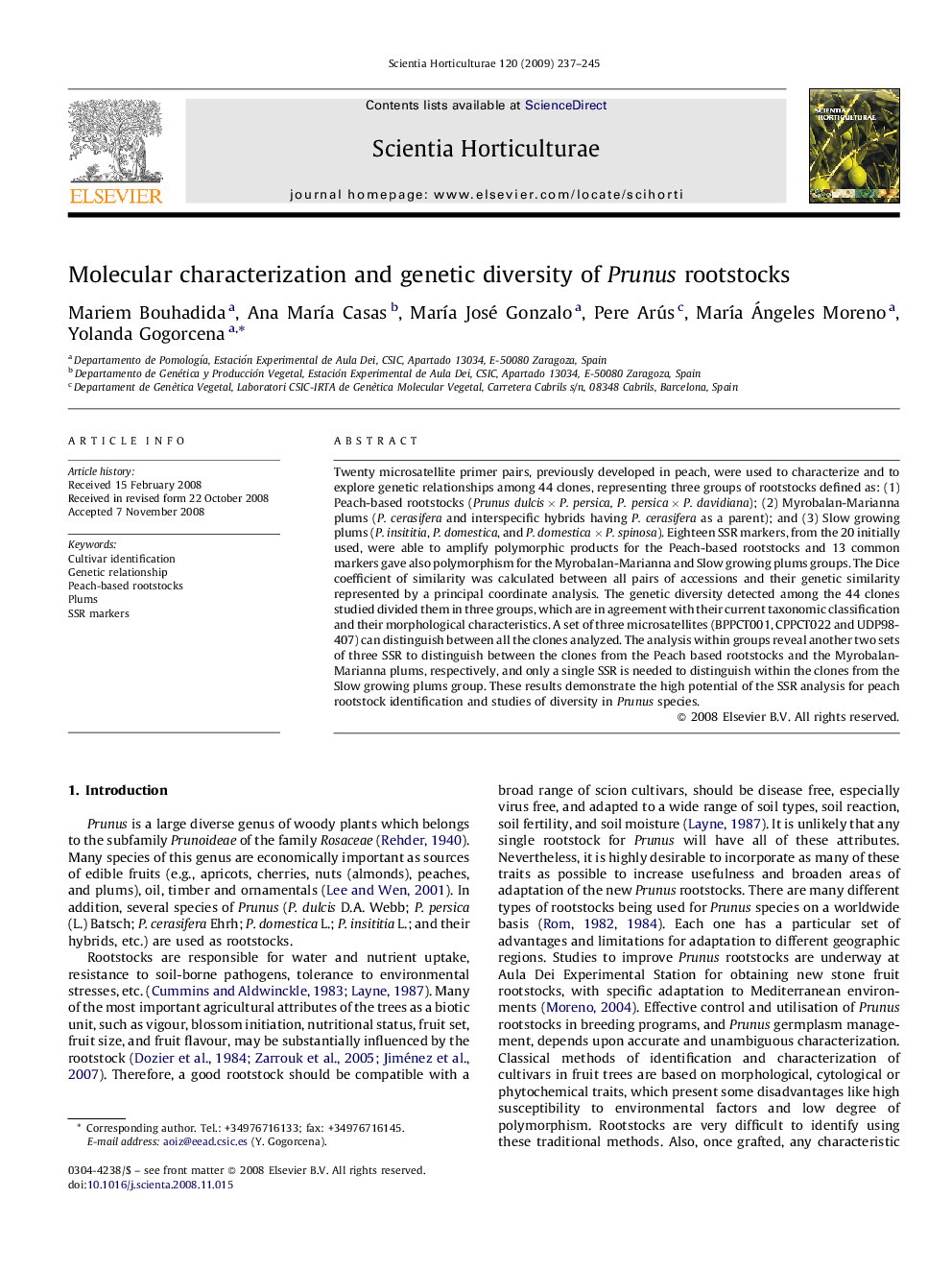 Molecular characterization and genetic diversity of Prunus rootstocks