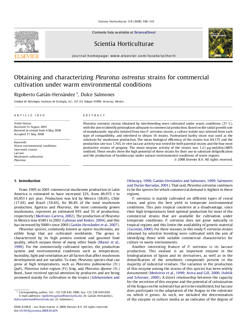 Obtaining and characterizing Pleurotus ostreatus strains for commercial cultivation under warm environmental conditions